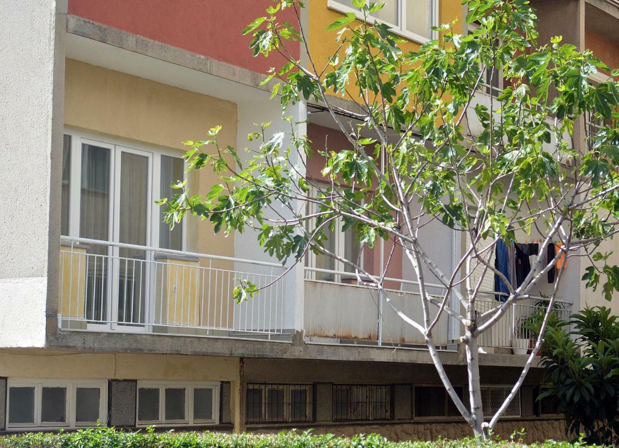 אוהריד Ms Apartment מראה חיצוני תמונה